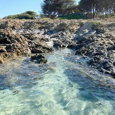 Gli Ulivi * Tanaunella