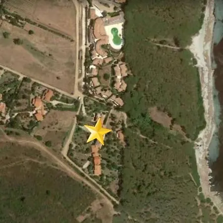 Gli Ulivi